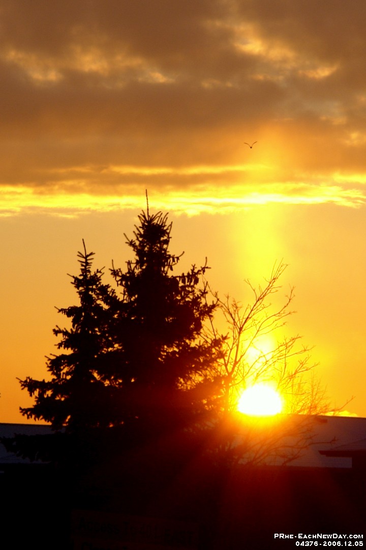 04376cl-a - Sunrise, Kingston - Rotherglen